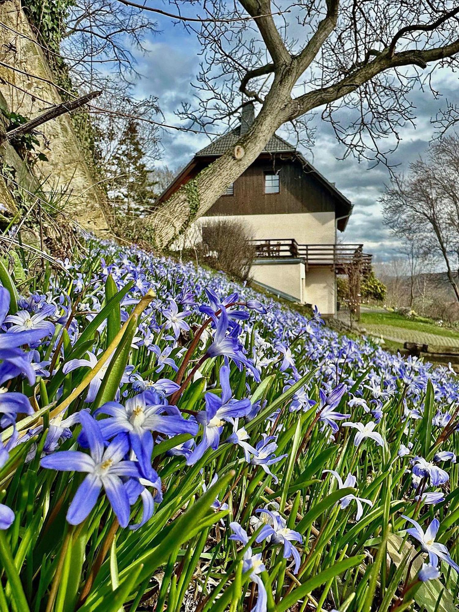 Ferienwohnung-Am-Suedhang Muglitztal 외부 사진