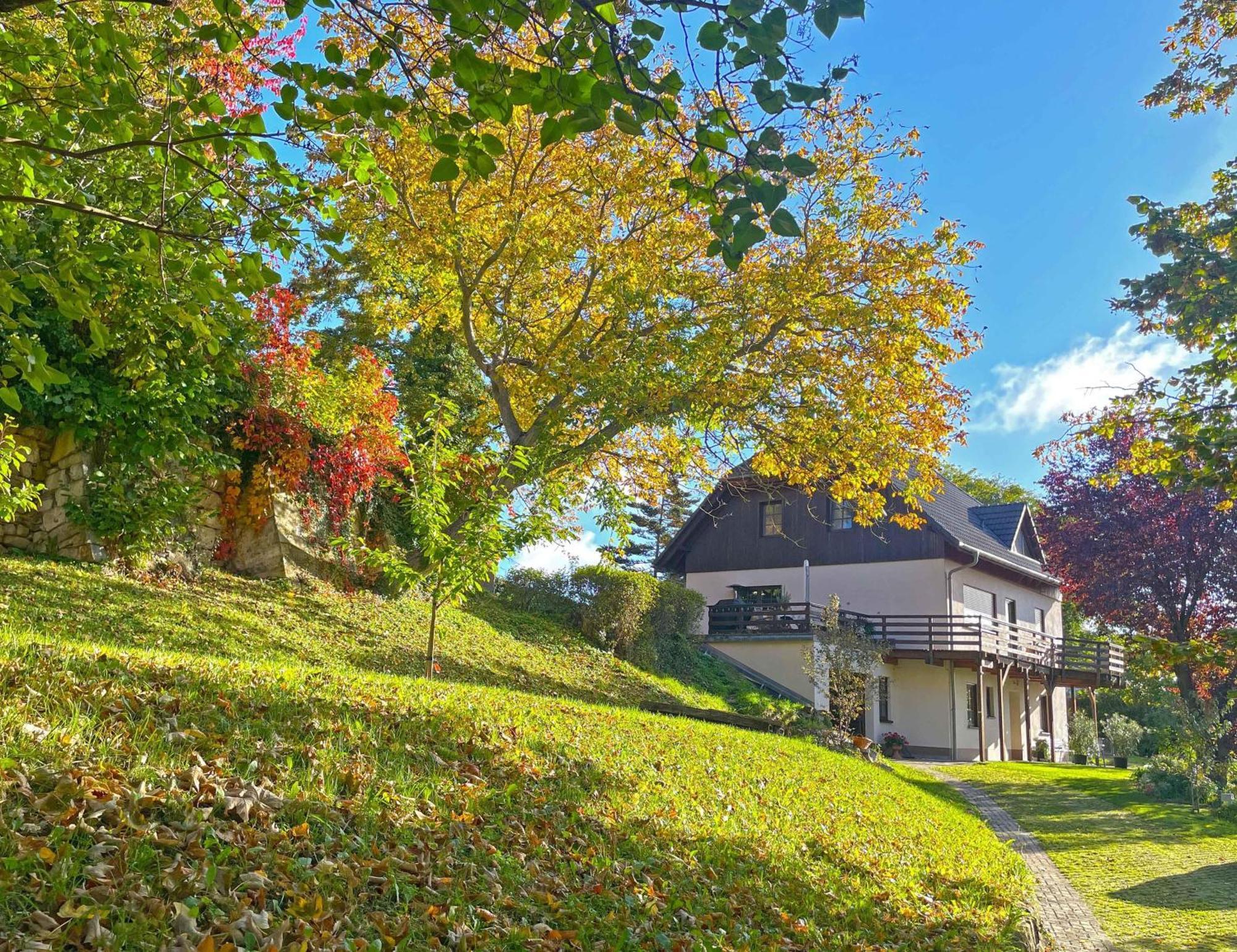 Ferienwohnung-Am-Suedhang Muglitztal 외부 사진